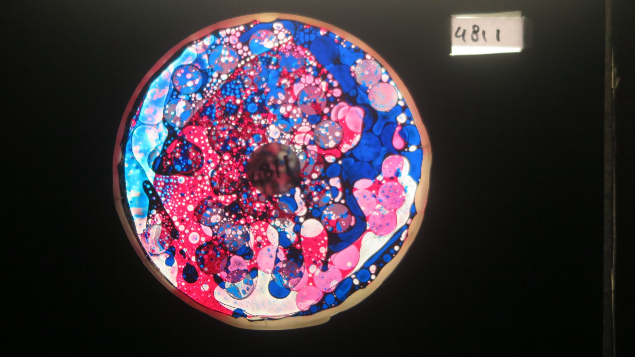 BV4811 bubble vision oil wheel